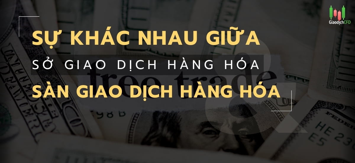 sàn giao dịch hàng hóa là gì